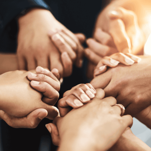 H7 Network Alpha Team