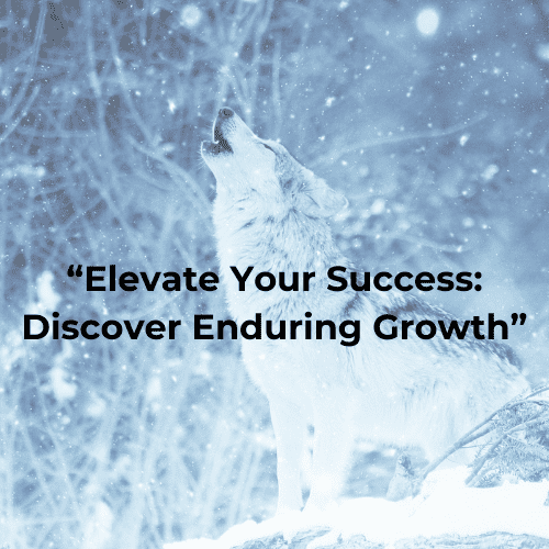 Elevate Your Success: Discover Enduring Growth in the H7 Network
